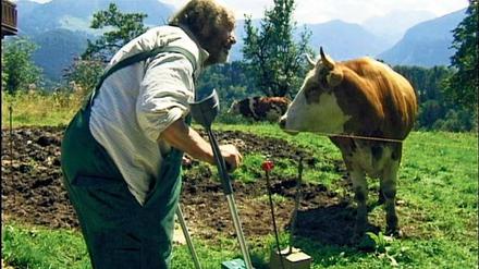 Der versehrte Bauer und seine Kuh. Szene aus Hans-Dieter Grabes Dokumentarfilm „Anton und ich“. 