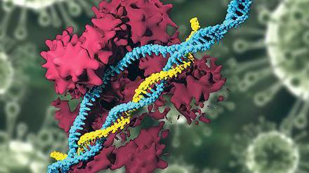 Bissig. Genscheren wie Crispr/Cas9 befeuern die Gentech-Debatte neu. 