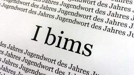 Das Jugendwort des Jahres stammt aus der Sprache der sozialen Netzwerke.
