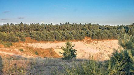 Das Luggendorfer Loch. 11000 Kubikmeter kontaminierter Bauschutt wurden hier einst verklappt. Jetzt soll die alte Kiesgrube wieder Deponie werden.