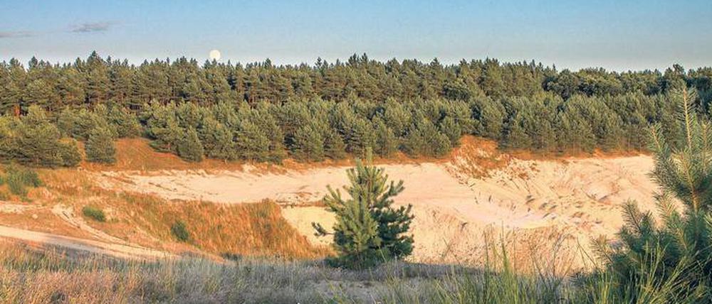 Das Luggendorfer Loch. 11000 Kubikmeter kontaminierter Bauschutt wurden hier einst verklappt. Jetzt soll die alte Kiesgrube wieder Deponie werden.
