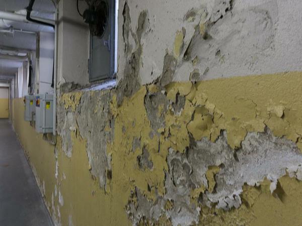 Unter den Feierhallen auf dem Waldfriedhof Zehlendorf kann man das Gruseln bekommen: Wasserschäden und Holzbalken, die die Decke stützen.
