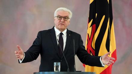Bundespräsident Frank-Walter Steinmeier fordert alle Parteien auf, sich nicht vor der Verantwortung zu drücken.