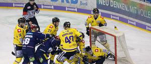 Hart umkämpft. Eisbären und Pinguine.