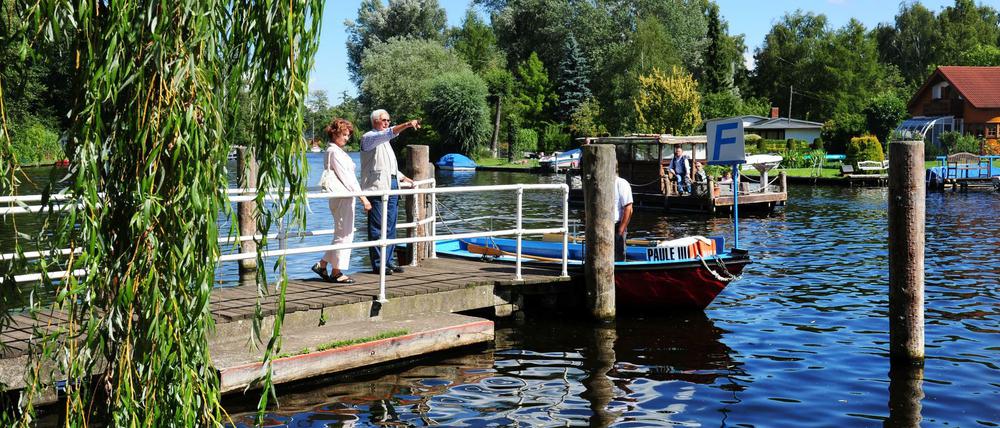 Ein behördlich genehmigter Steg. Eine Seltenheit in Rahnsdorf.