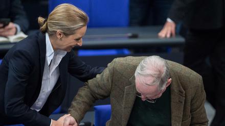 Die Vorsitzenden der AfD-Fraktion im Bundestag, Alexander Gauland und Alice Weidel, begrüßen sich am 21.November 2017 im Bundestag.