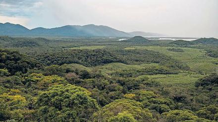 Terra incognita. Noch immer birgt das Amazonasgebiet Rätsel.
