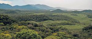 Terra incognita. Noch immer birgt das Amazonasgebiet Rätsel.