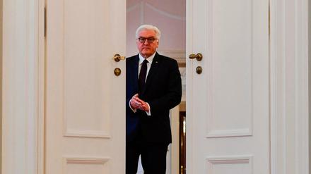 Mischt sich ein: Bundespräsident Frank-Walter Steinmeier