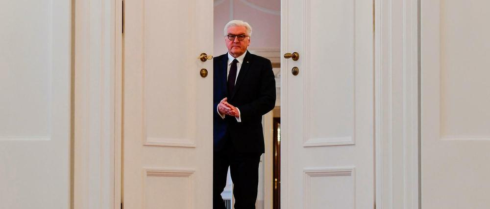 Mischt sich ein: Bundespräsident Frank-Walter Steinmeier