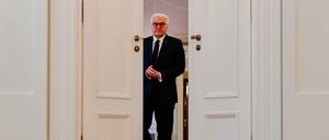 Mischt sich ein: Bundespräsident Frank-Walter Steinmeier