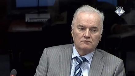 Der ehemalige Militärkommandant der bosnischen Serben, Ratko Mladic, am 28.01.2014 vor dem UN-Tribunal in Den Haag