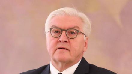 Bundespräsident Frank-Walter Steinmeier mahnt die Parteien zur Regierungsbildung.