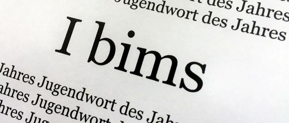 Die Wahl ist eine Werbeaktion des Langenscheidt-Verlags und findet dieses Jahr zum zehnten Mal statt.