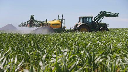 Mit der EU-Landwirtschaftspolitik wird häufig die Bewirtschaftung großer Flächen gefördert.