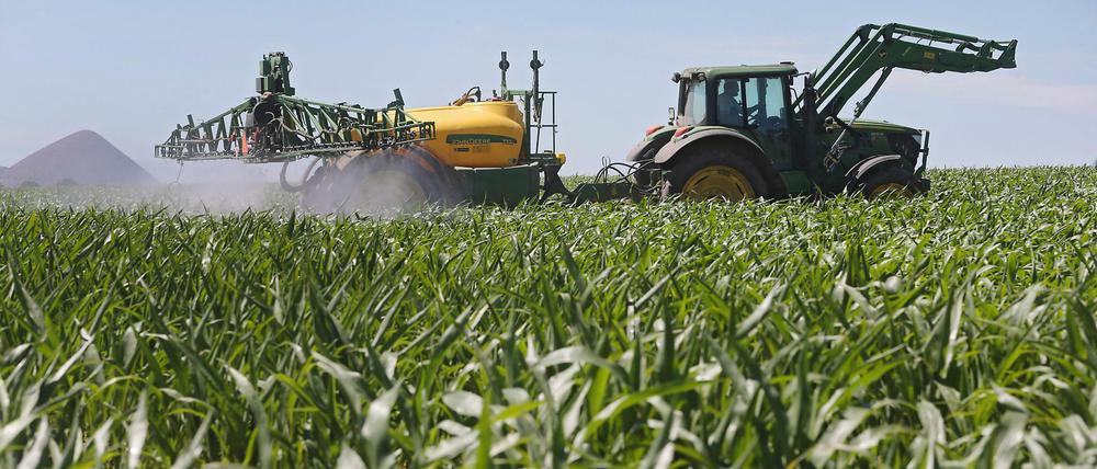 Mit der EU-Landwirtschaftspolitik wird häufig die Bewirtschaftung großer Flächen gefördert.