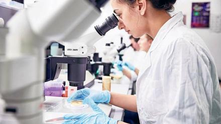 Seit Gründung des Max-Delbrück-Centrums hat die Molekularbiologie die Medizin völlig verändert.
