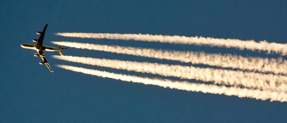 Nach der Air-Berlin-Pleite steigen die Flugpreise in den Himmel.