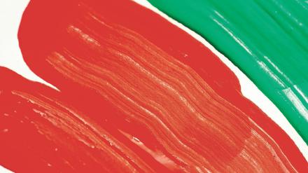 Rot-Rot-Grün: Passt das zusammen? Im Bundestag gibt es keine Mehrheit für diese Konstellation.