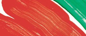 Rot-Rot-Grün: Passt das zusammen? Im Bundestag gibt es keine Mehrheit für diese Konstellation.