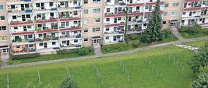 Die Betonblocks werden gerne gezeigt, wenn es um die Stadt Aue geht. 
