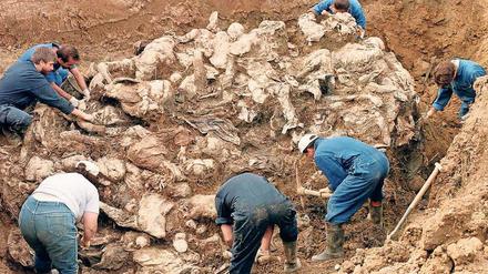 Ermittler des Internationalen Strafgerichtshofs arbeiten 1996 nahe Tuzla in Bosnien-Herzegowina an einem Massengrab, in dem Opfer des Massakers von Srebrenica liegen. 