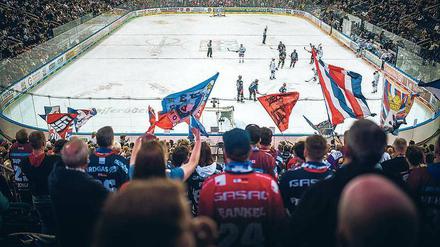 Erfolg macht sexy. Die Eisbären-Fans haben aktuell viel Grund zum Jubeln. Und inzwischen kommen auch wieder mehr Zuschauer zu den Spielen in die Großarena am Ostbahnhof als noch zu Saisonbeginn. 