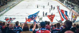 Erfolg macht sexy. Die Eisbären-Fans haben aktuell viel Grund zum Jubeln. Und inzwischen kommen auch wieder mehr Zuschauer zu den Spielen in die Großarena am Ostbahnhof als noch zu Saisonbeginn. 