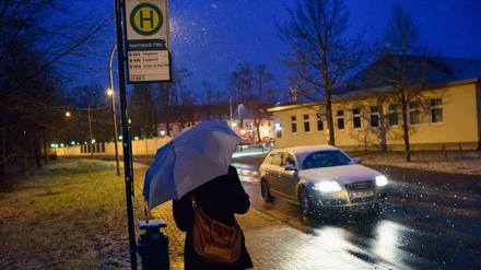 Fehlt nur noch der Wal, der auf den Bus wartet. So zu lesen in Ulrich Kochs Gedichten.