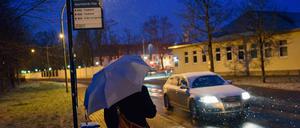 Fehlt nur noch der Wal, der auf den Bus wartet. So zu lesen in Ulrich Kochs Gedichten.