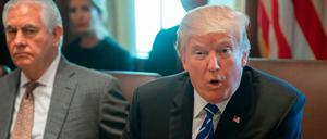 Abgekanzelt - abgesetzt? Die Entlassung von US-Außenminister Rex Tillerson (l) wird nach zahlreichen Konflikten mit US-Präsident Donald Trump schon länger erwartet. Die "New York Times" berichtet nun über konkrete Pläne, Tillerson bis zum Ende des Jahres zu ersetzen.