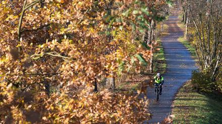 Kommt selten allein. Radfahrer machen einen immer größeren Anteil am Stadtverkehr aus. Nur selten haben sie so viel Platz wie hier am Ufer des Berlin-Spandauer Schifffahrtskanals. 