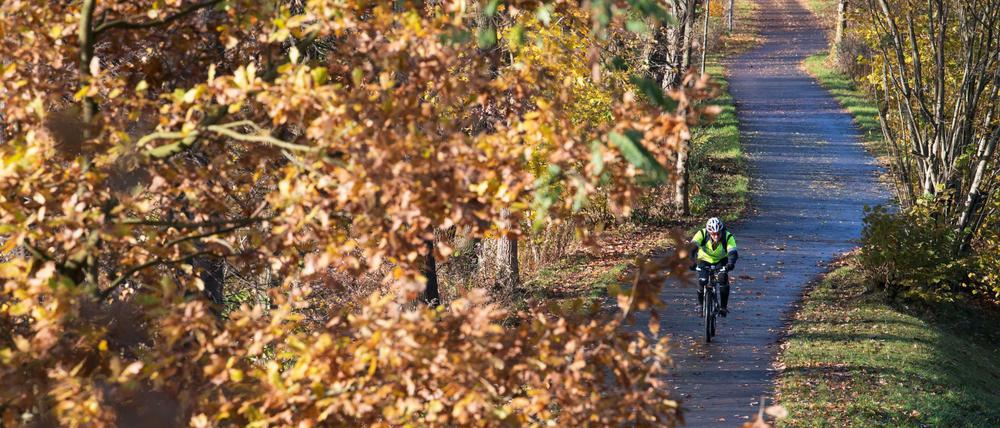 Kommt selten allein. Radfahrer machen einen immer größeren Anteil am Stadtverkehr aus. Nur selten haben sie so viel Platz wie hier am Ufer des Berlin-Spandauer Schifffahrtskanals.