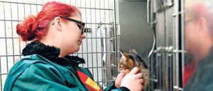 Ausgesetzt und abgegeben. Pflegerin Caroline Kind kümmert sich in der Tiersammelstelle in Lichtenberg um die Neuzugänge. 