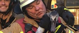 Die Berliner Feuerwehr mit dem geretteten Tier.