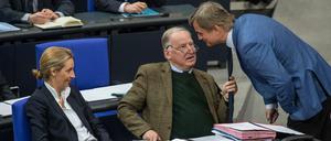 AfD-Fraktionschefs Alice Weidel und Alexander Gauland, Fraktionsgeschäftsführer Bernd Baumann (von links) im Bundestag.