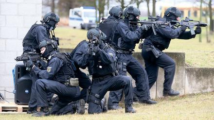 In Pflügers Thriller geht es um eine geheime Eliteeinheit. Hier Polizeibeamte einer Spezialeinheit der Bundespolizei demonstrieren.