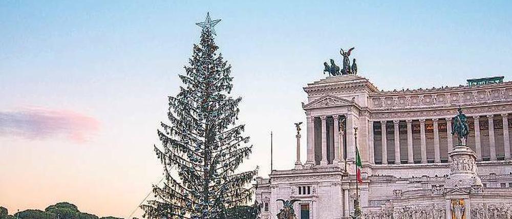 Kahler Glanz: Der Weihnachtsbaum in Rom wird verspottet.