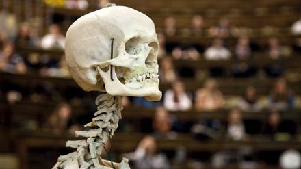 Anatomievorlesung für Studenten der Humanmedizin am Anatomischen Institut der Universität Leipzig, 
