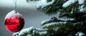 Für Weihnachtsstimmung vor dem Bundesrat sorgt in diesem Jahr ein Tannenbaum aus der Lausitz.