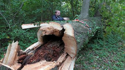 Nach dem Sturm: Überall Schäden im Park Sanssouci.