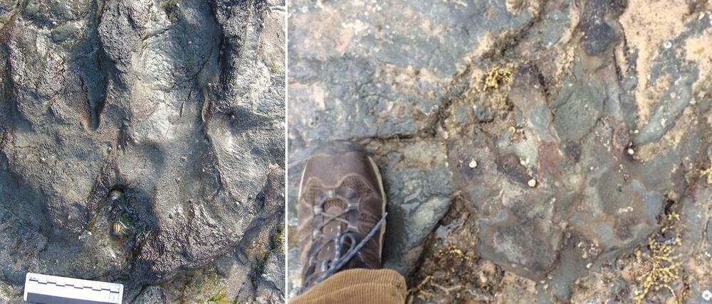 Der Dinosaurier-Fußabdruck vor (links) und nach der Zerstörung