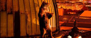 Dieser Berlinale-Bär vergnügt sich auf dem Dach des Berliner Doms.