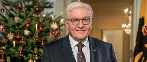Bundespräsident Frank-Walter Steinmeier im Schloss Bellevue