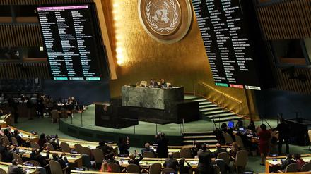 Internationale Organisationen wie die UN geraten im Zeitalter des Trumpismus immer stärker unter Druck.