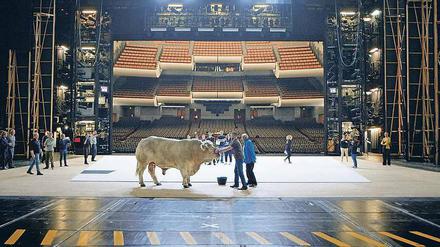 Massiver Einsatz. Ein Stier auf der Bühne der Opéra Bastille.