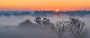 Der Sonnenaufgang an der Oder bei Lebus: für Pleul ein jährlicher Pflichttermin. 