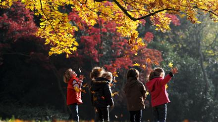 Die Tochter unserer Redakteurin hat mit ihrer Hortgruppe, ähnlich wie die Kinder auf dem Foto, eine Woche in der Natur verbracht - die Mutter war in Sorge.