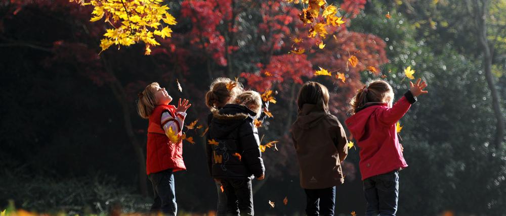 Die Tochter unserer Redakteurin hat mit ihrer Hortgruppe, ähnlich wie die Kinder auf dem Foto, eine Woche in der Natur verbracht - die Mutter war in Sorge.