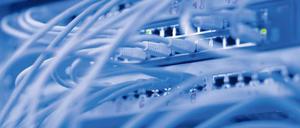 In den Senats- und Bezirksbehörden herrscht digitale Anarchie.